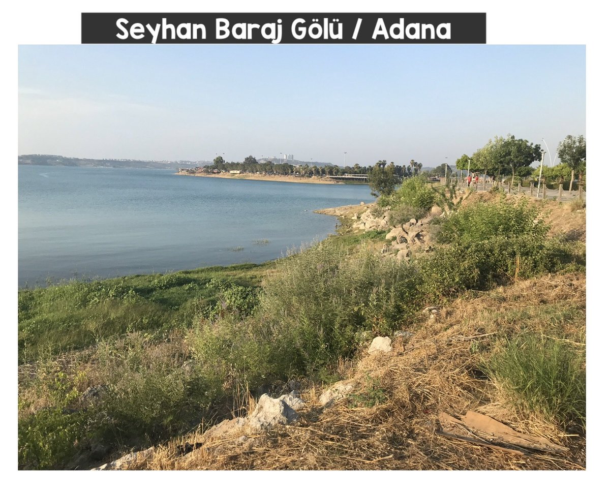 Bir yanda sosyal belediyecilik anlayışı ile halka hizmet diğer yanda sosyal belediyecilik kandırmacası ile lafta hizmet Helal olsun <a href="/FatmaSahin/">Fatma Şahin</a> başkanım Gaziantep sayenizde çağ atladı. Bir de Adana’ya lazım.<a href="/TCAdanaValiligi/">T.C. Adana Valiliği</a> <a href="/ZeydanKaralar01/">Zeydan Karalar</a> <a href="/Adana_Bld/">T.C. Adana Büyükşehir Belediyesi</a> <a href="/cukurovabldtr/">Çukurova Belediyesi</a> <a href="/emrahkozay01/">Emrah Kozay</a>