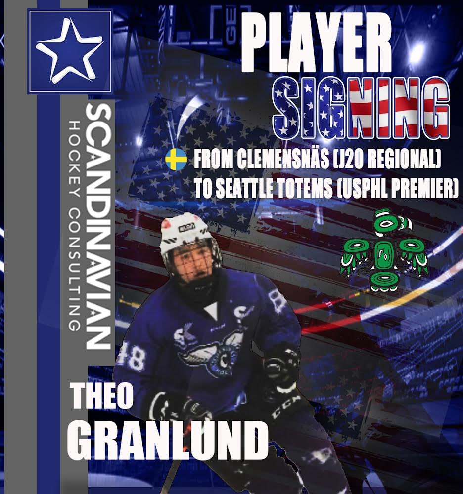 Scandinavian Hockey tweet media