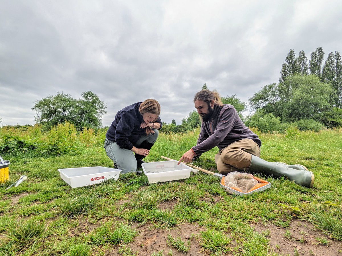 Applications are now open for our next 2 Traineeships! This will involve working on our project team for 35 hours a week, at real living wage. Applications close on 21st of July, apply below or share with someone who may be interested. …hirewildlifetrust.livevacancies.co.uk/#/job/details/… #coventryjobs