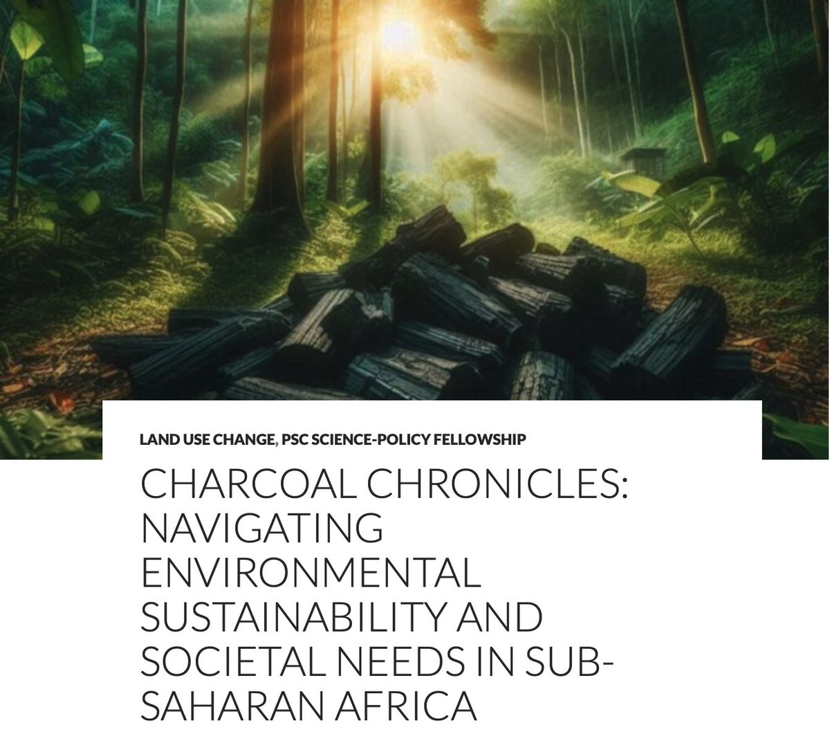 Zurich-Basel Plant Science Center (@plantscicenter) on Twitter photo In our #SciencePolicy blog #RESPONSE fellow Dabwiso Sakala <a href="/UZH_en/">University of Zurich</a> writes about the question if and how #charcoal can be produced sustainably in a new era of renewable energy. blogs.ethz.ch/Science_and_Po… In our #SciencePolicy blog #RESPONSE fellow Dabwiso Sakala <a href="/UZH_en/">University of Zurich</a> writes about the question if and how #charcoal can be produced sustainably in a new era of renewable energy. blogs.ethz.ch/Science_and_Po…