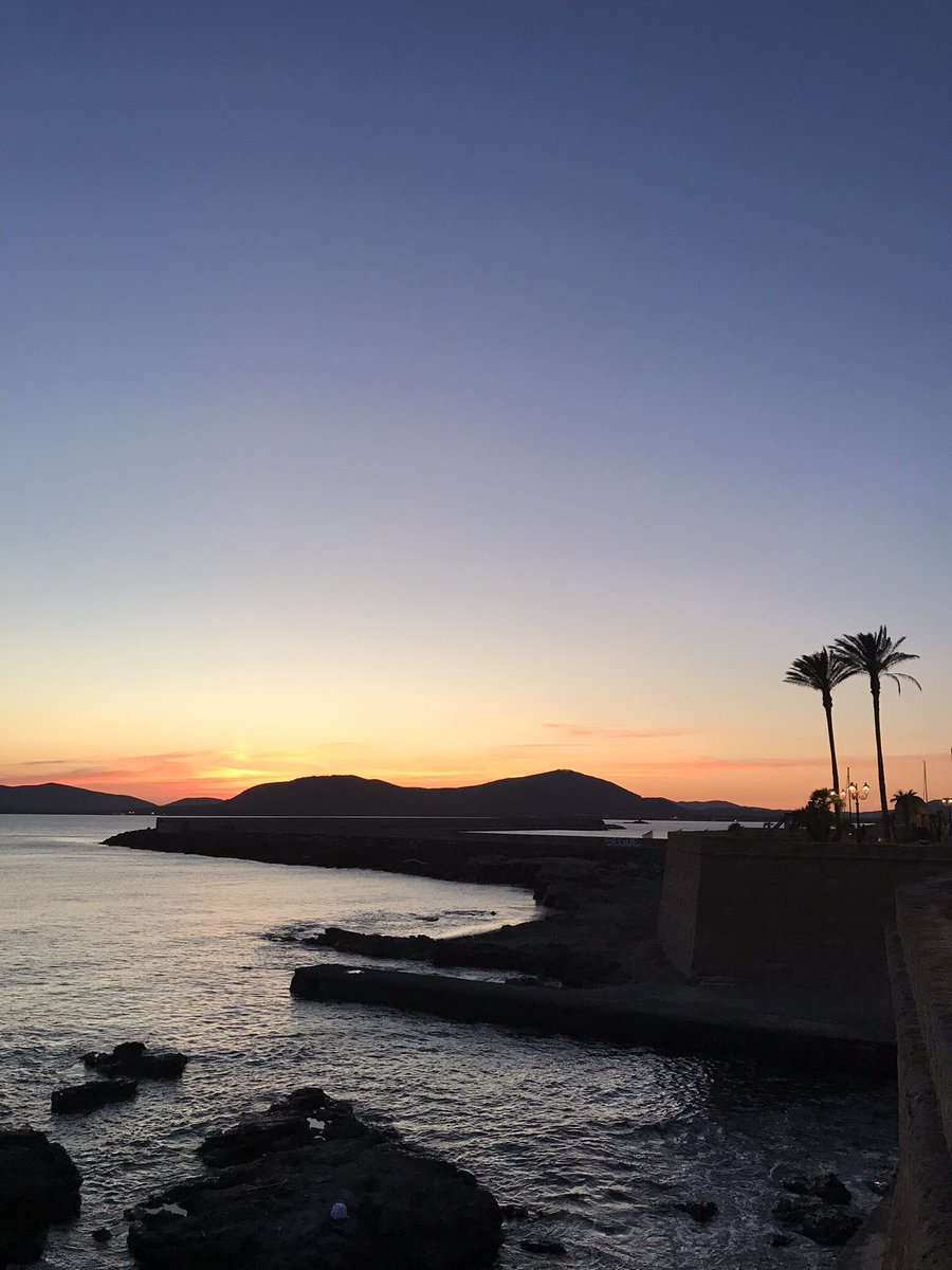 Roger Clarke tweet media