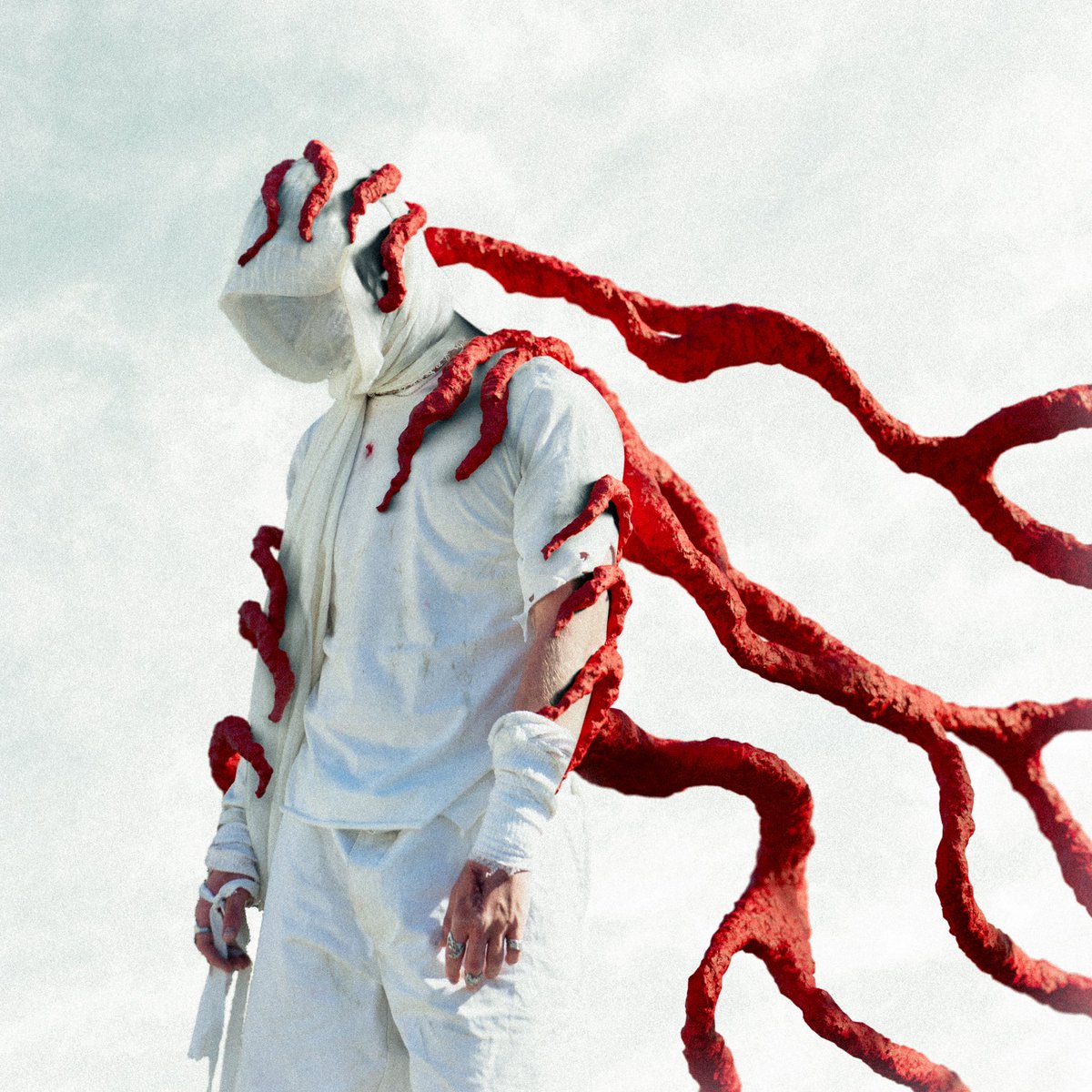 kursus.media tweet media