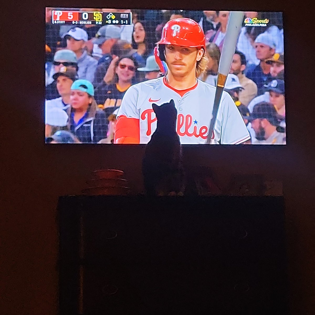 Andie Taylor tweet media