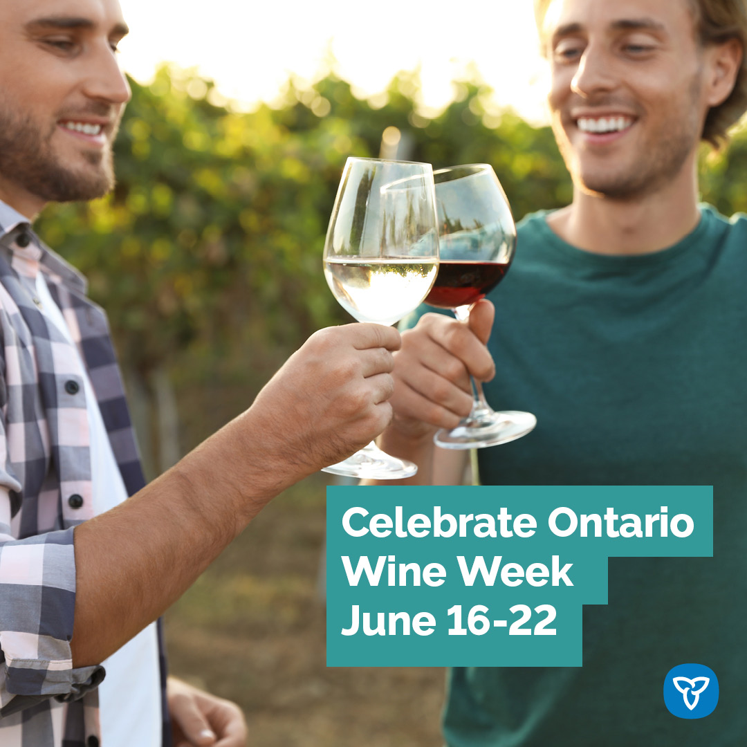 AgricultureON's tweet image. Happy #ONWineWeek!
Ontario is a proud producer of world class wines - from red, white, and rosé to sparkling wine and Icewine! Join the celebration this week by picking up your favourite bottle of Ontario #VQA wine 🥂
#OntAg #GrowingONtogether