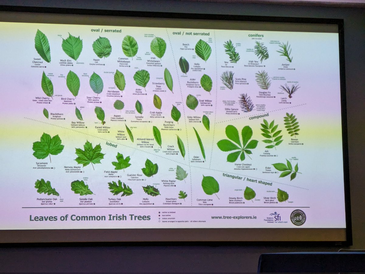 Olly Lynch Milner (@ol_lyncheco) on Twitter photo Lovely time at the #IPSAM2024 conference! Lovely talks, and I was delighted to have the opportunity to present my research on semi-natural grasslands! And also loads of very interesting talks, including the National Seed Bank, Nd the Irish Tree Explorers Network! <a href="/StableGrass/">StableGrass Project</a> Lovely time at the #IPSAM2024 conference! Lovely talks, and I was delighted to have the opportunity to present my research on semi-natural grasslands! And also loads of very interesting talks, including the National Seed Bank, Nd the Irish Tree Explorers Network! <a href="/StableGrass/">StableGrass Project</a>