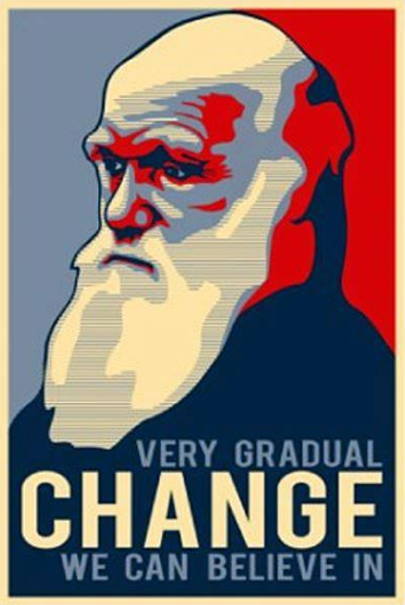 jesusintoast's tweet photo. https://t.co/GiEXEhOkUj