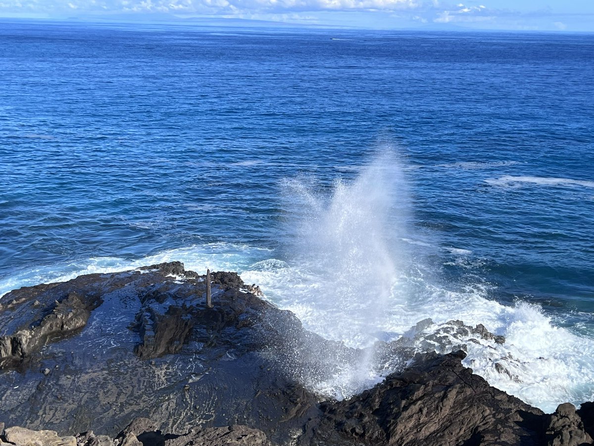 HHLifestyleTrav's tweet photo. @DoroLef @LindaPeters64 @LiveaMemory @intheolivegrov1 @obligatraveler @OdetteDunn @pipeaway_travel @WVtourism @forkmespoonme @naturetechfam @JeremyPalmer7 @HassaneTraveler @MILLERBOATLINE @WanderLust1280 @SonjaSwissLife @Matt_Pinner @BCFerries @VParadisoBCA @TravelFoodiesTV @LisaRivera2207 @Adventuringgal @AlaskaItinerary @TravelAtWill Ooh, #Top4Splash for the #Top4Theme - what a unique one!
1. Sea turtle in Hawaii
2. Blowhole in Oahu
3. Niagara Falls splashing
4. Moose the dog in the Med https://t.co/uPPkUS24Lf