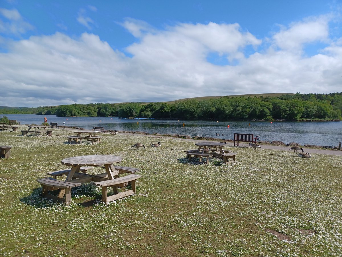 Parc Bryn Bach tweet media