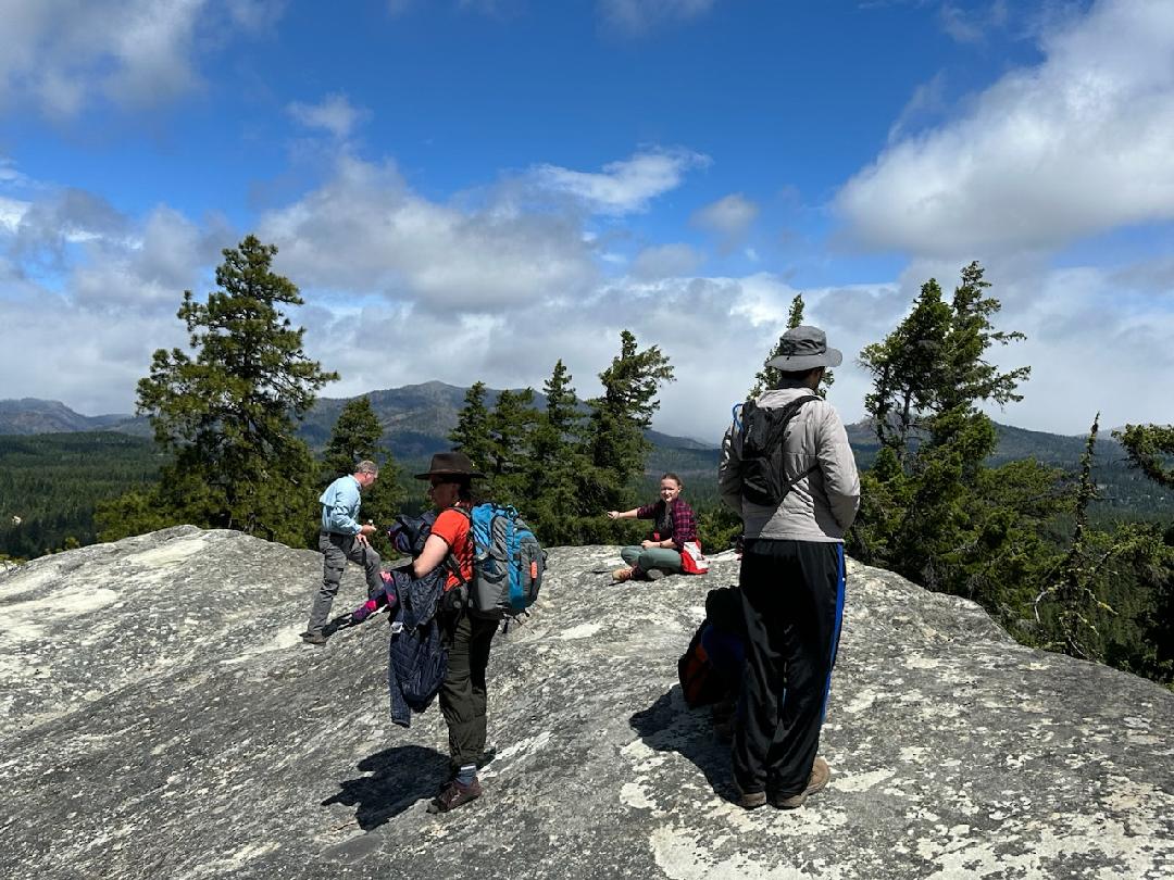 WPC Young Professionals tweet media