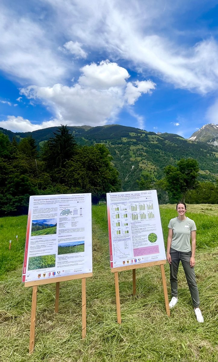 PierreMariotte's tweet photo. Presenting the #DryMountProject to farming advisors @agroscope @emilie_roinel #drought #mountain #grassland https://t.co/qoKksC9YQK