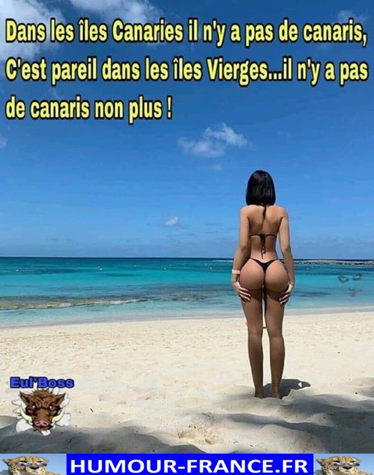 text alternatif