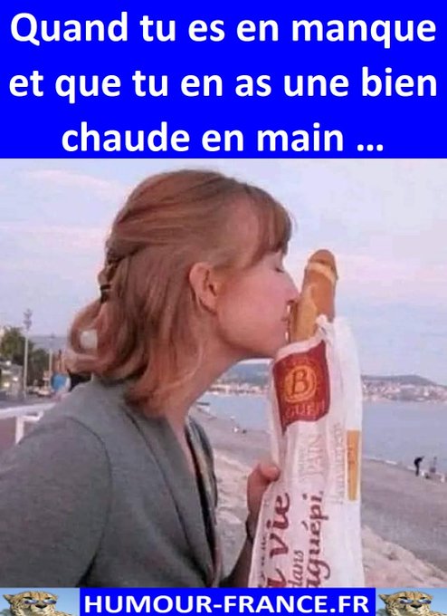 text alternatif