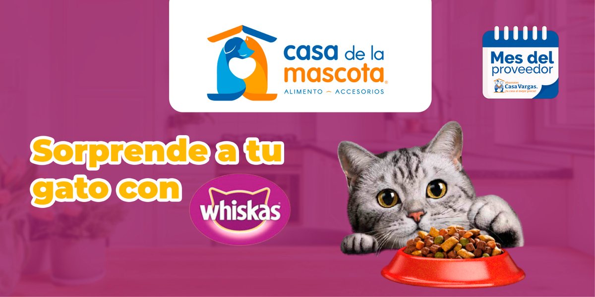 ACasaVargas's tweet photo. 🥩 En Casa Vargas sabemos lo que tu gato ama. Aprovecha los precios especiales. ¡No te los pierdas! 
.
.
.
.
.
.
.
#DeliciasFelinas #AbarrotesCasaVargas #whiskas #comida #michi #gato #promos #descuentosmascotas #mascotas https://t.co/5M5qc1qE0v