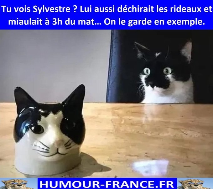 text alternatif