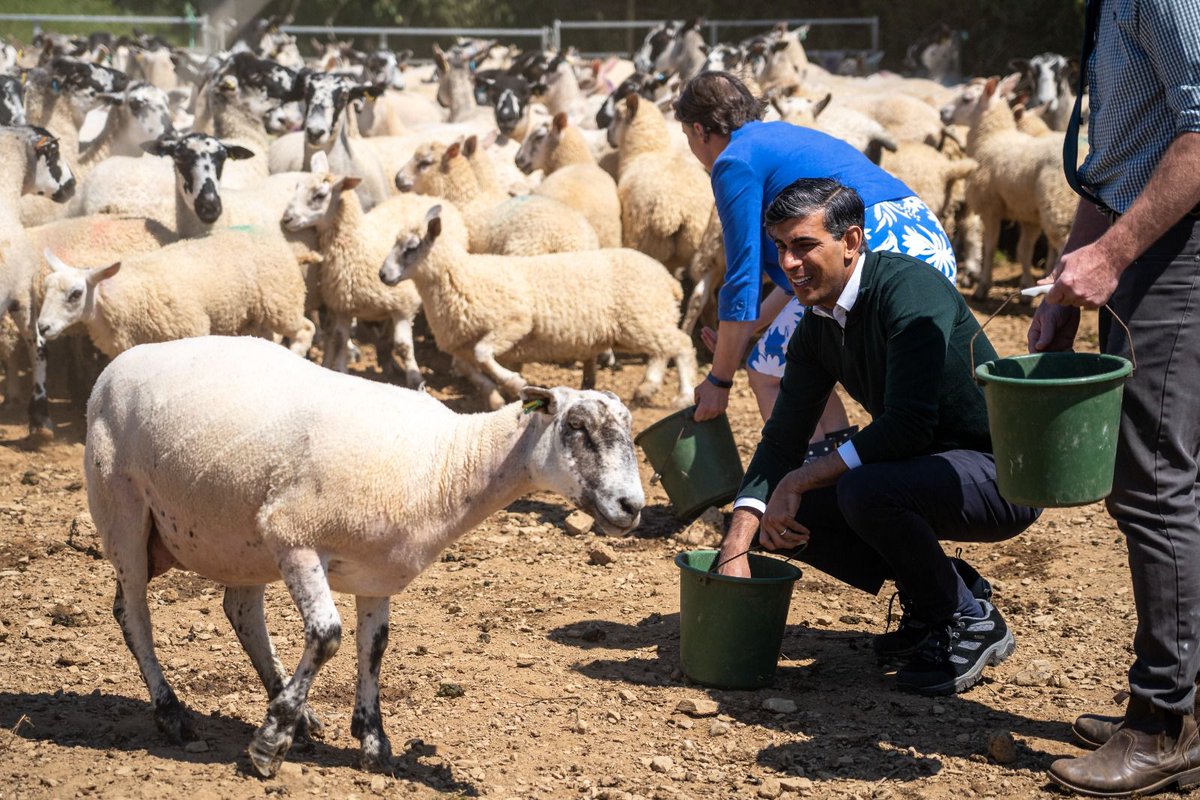 Rishi Sunak tweet media