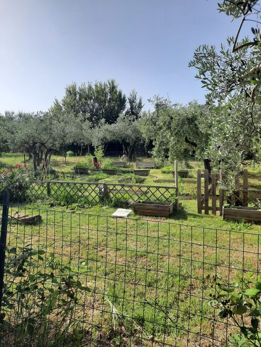 YoMonteolivo's tweet photo. Hele ochtend in de moestuin van mijn vriendin gewerkt #lekgestoken #teheet en kon daarna nog in mijn eigen tuin aan de gang #weerlekgestoken en #weerteheet maar ja #ditisitalie I๐Umbria https://t.co/pHnZdMJqCq