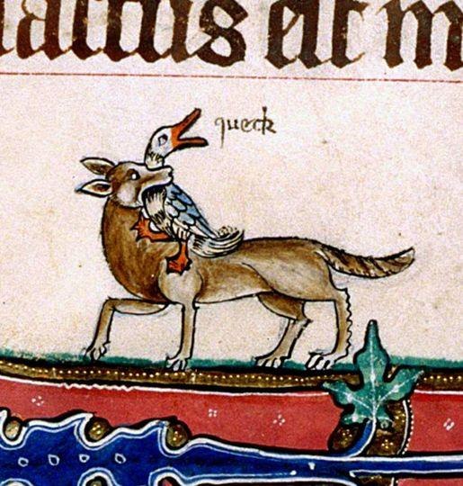 MaaikeDx 🖌 tweet media