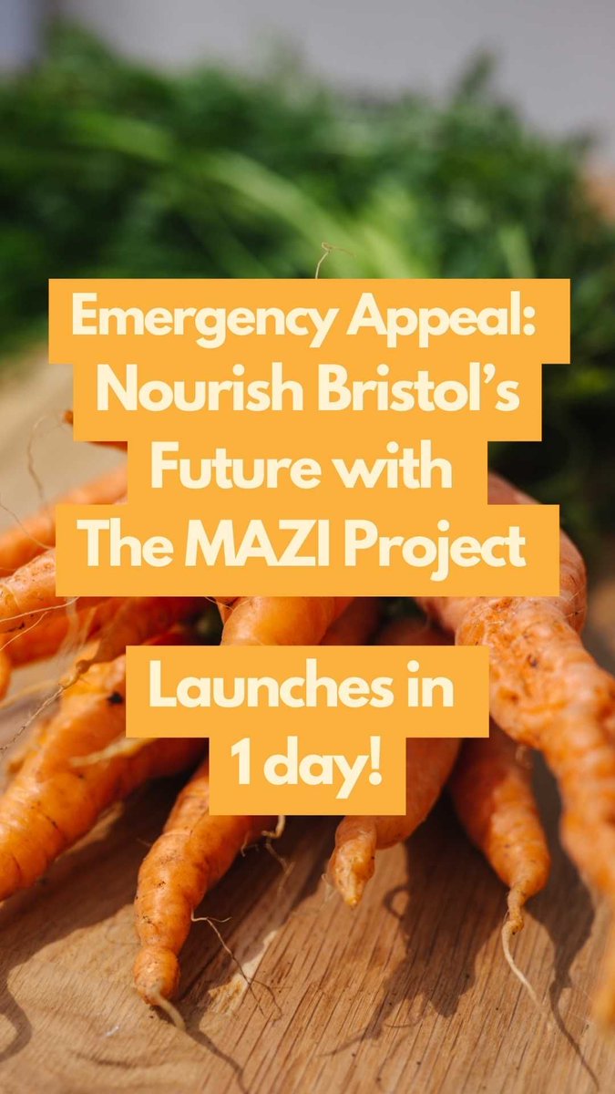 🆘 Emergency Appeal 🆘 The cost-of-living crisis is affecting Bristol's vulnerable young people. We launch our crowdfunder tomorrow! Donate, match, or share! 🌟 #themaziproject #charity #donate