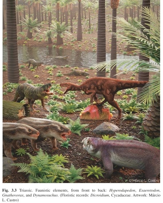 CiahnAtacama's tweet photo. 🔎¿Sabías que a través de la Paleontología podemos conocer cómo evolucionarán los ecosistemas en la 🌎?
➡️Les compartimos el estudio "A Look into the Past: Fossils from the Campos Sulinos Región" en que colaboramos con @UFSM_oficial y @unipampa 
🌐https://t.co/9Z1unjYtdN https://t.co/fg5nGtvpzE