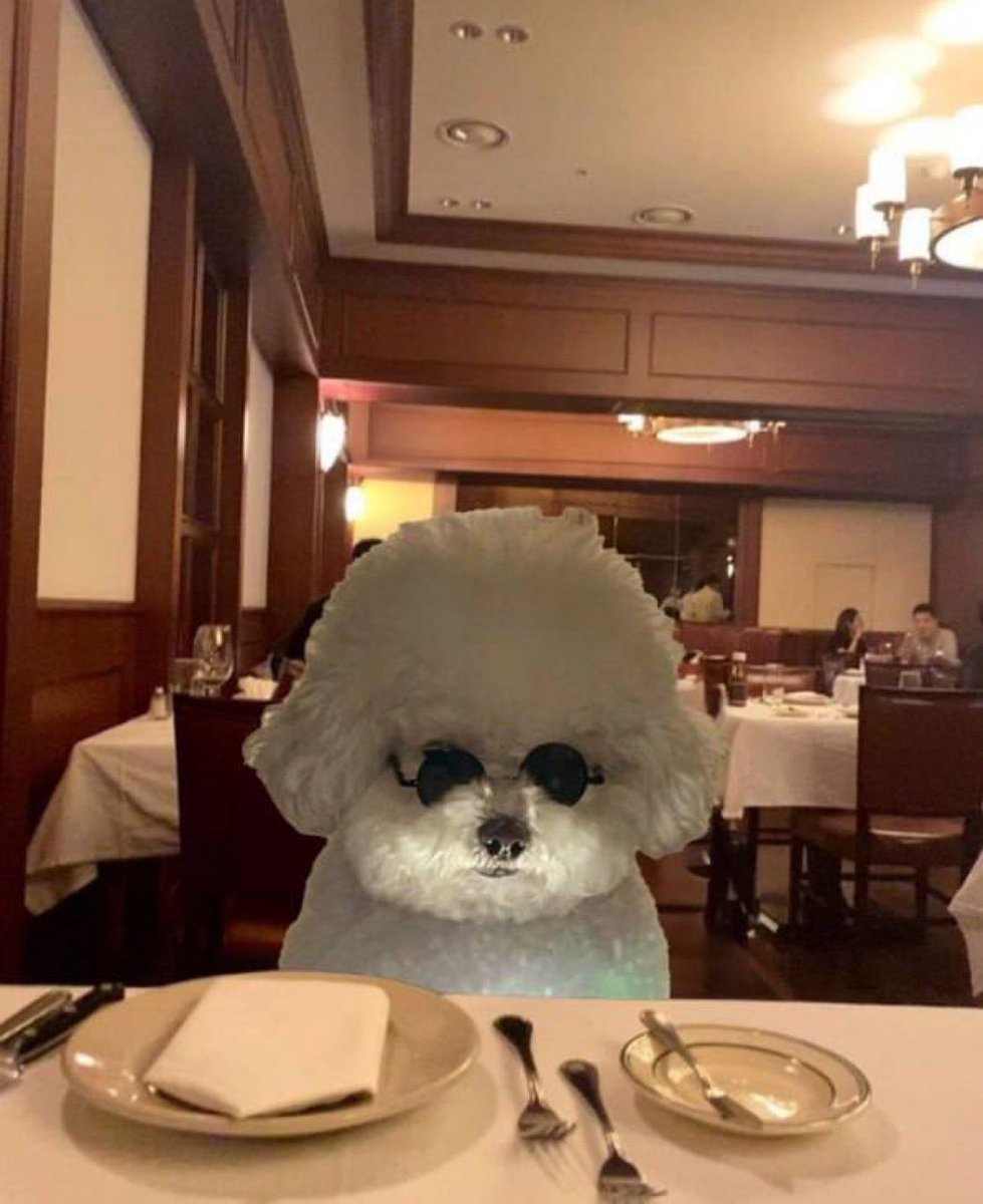 mooncatcherxbt's tweet photo. @moneymaykah_ come and eat with us at $HENRY 

https://t.co/78FoMXW2IH https://t.co/UlFBkkdlIP