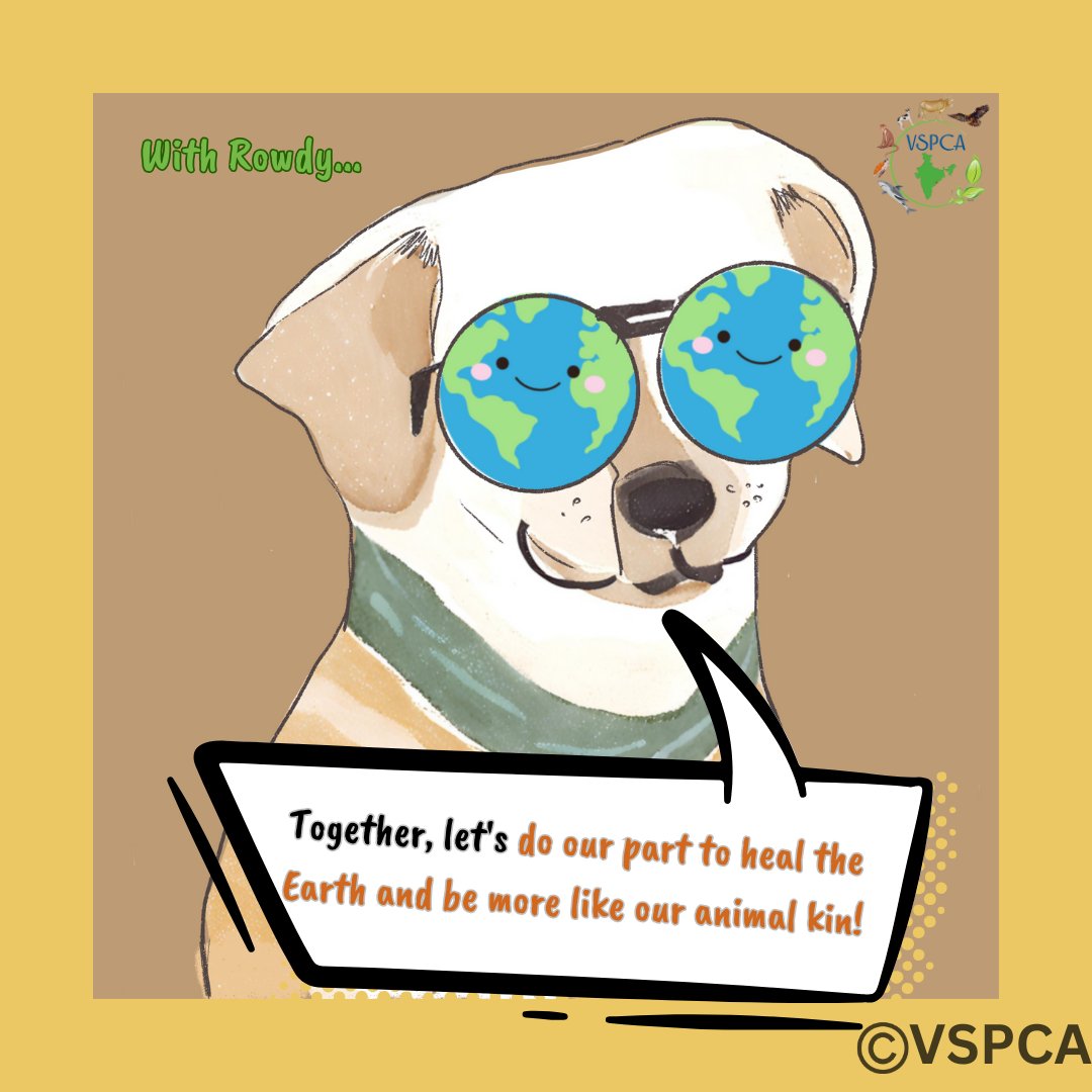 🌍 Rowdy's thoughts on World Environment Day! 🐾
Continued...