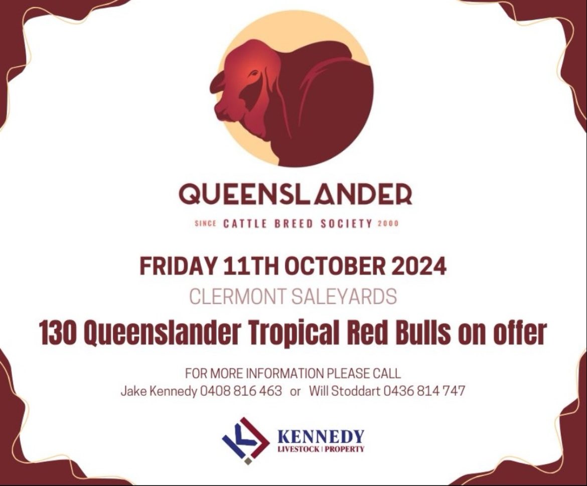 Sallყ Jσllყ (@sally5475) on Twitter photo 