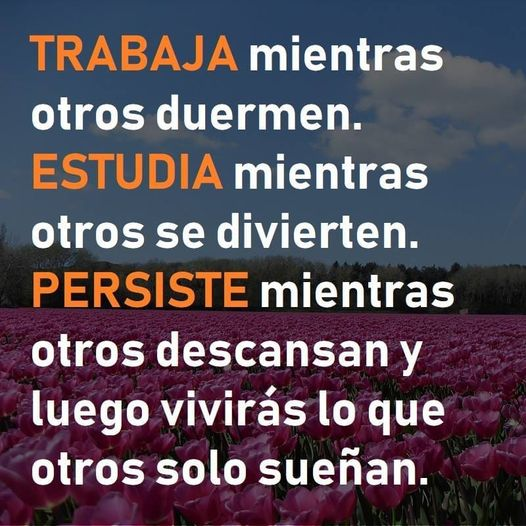 elzorrotacneno's tweet photo. Nunca lo olvides: Disciplina y perseverancia. https://t.co/XMD6JS1CtF