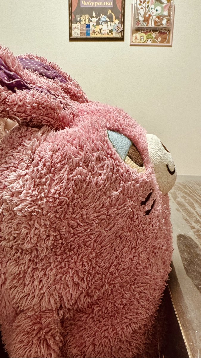 ぐーたらポッケのポッケちゃ🐸 (@Pokke_pokepoke) / Posts / X