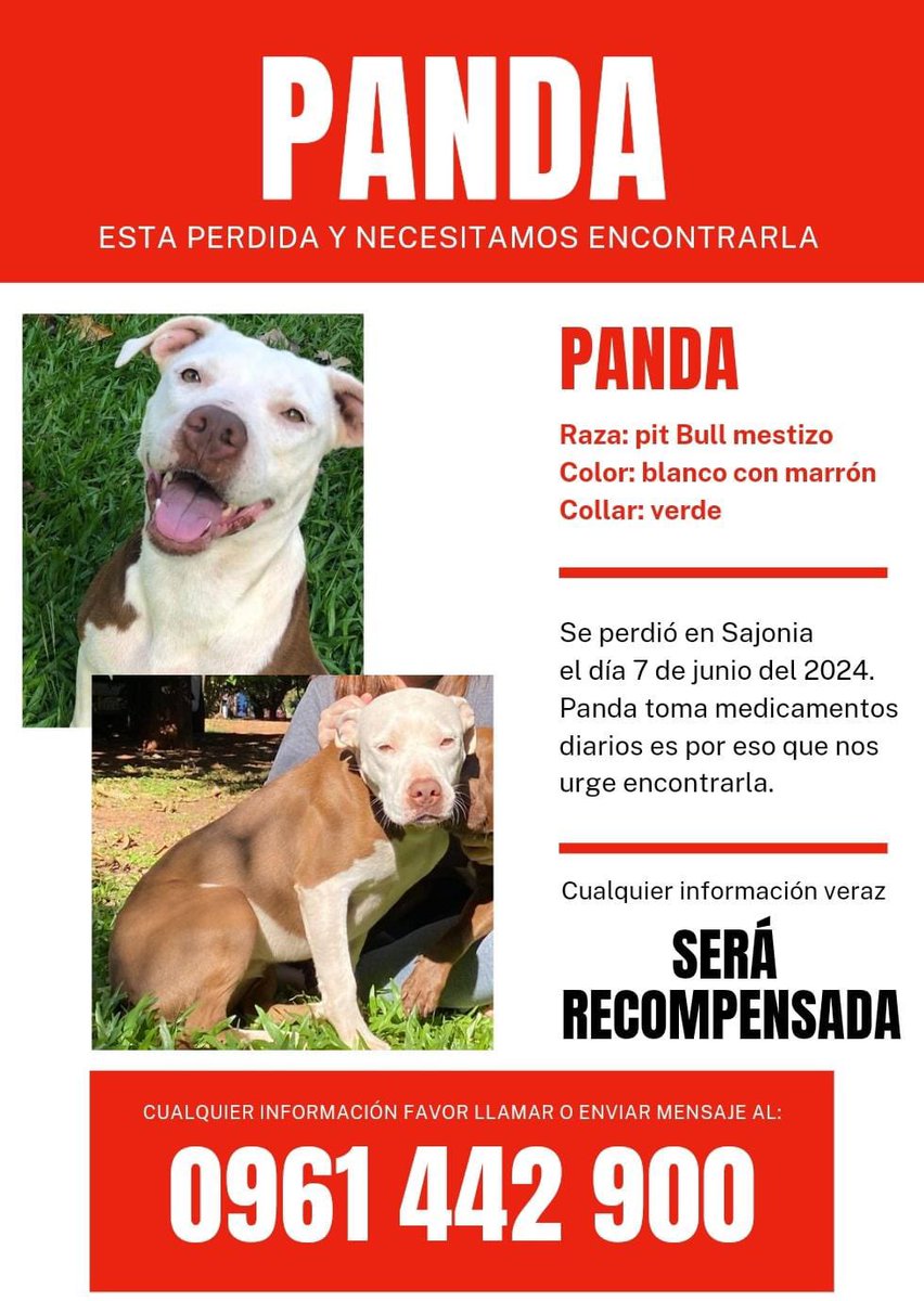 Pablo Nuñez tweet media