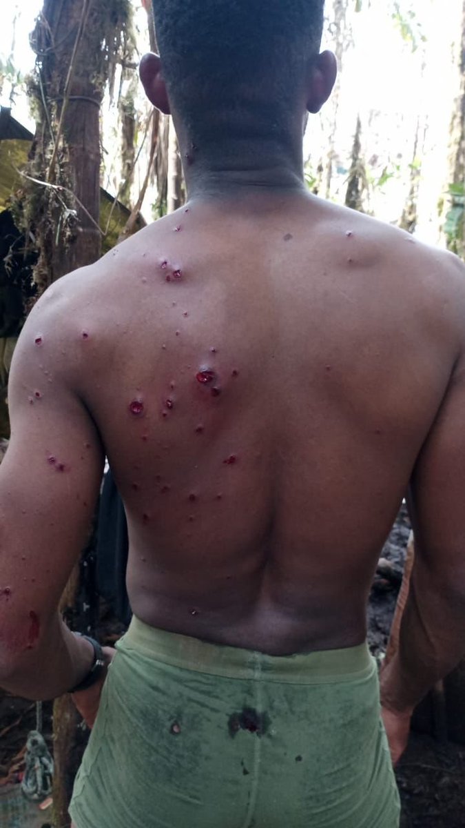 TracTerrorism's tweet image. Three Soldiers Injured in an Improvised Weaponized Drone Attack by the Central General Staff (EMC/FARC), El Pepiñal, El #Plateado, #Argelia, #Cauca, #Colombia
trackingterrorism.org/chatter/drone-…