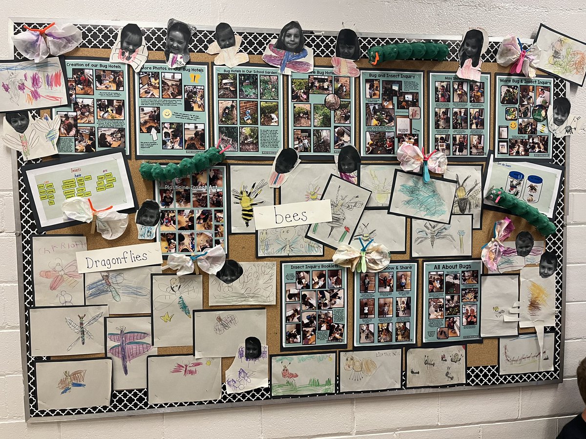 Check out our Bug &amp; Insect Inquiry!  We sure had fun the past 8 weeks learning all about bugs and insects! <a href="/mountsfieldps/">Mountsfield Public School</a> <a href="/TVDSBKinder/">TVDSBKindergarten</a> <a href="/TVDSB/">Thames Valley DSB</a>