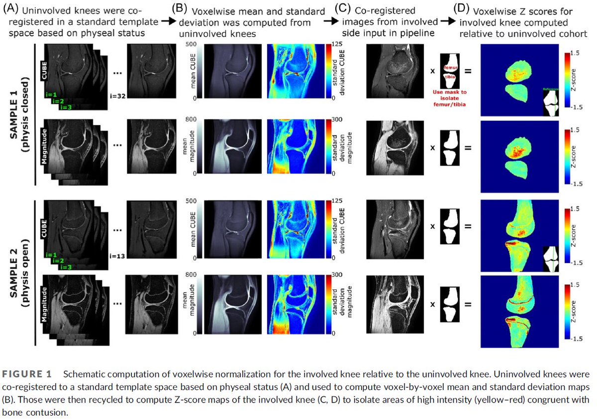 Jed Diekfuss, PhD tweet media
