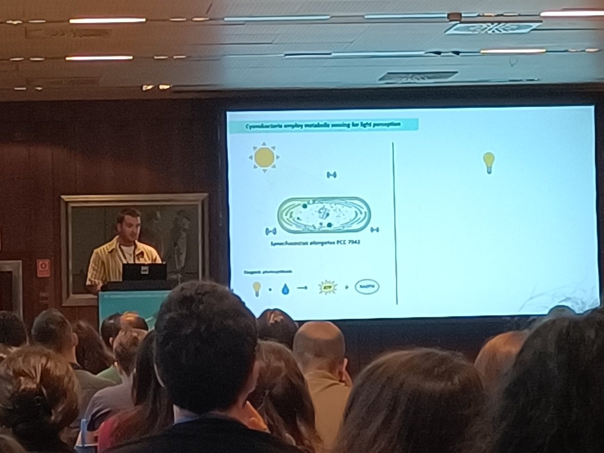 Raquel G. Lanza tweet media