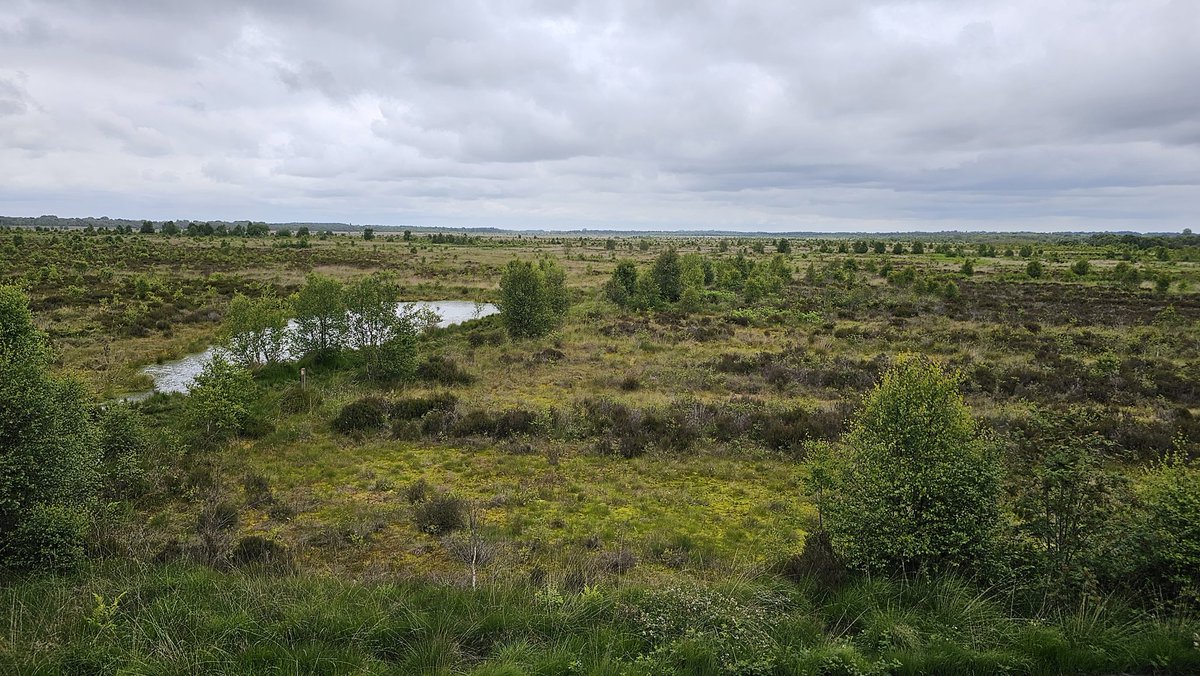 Beth Thomas tweet media