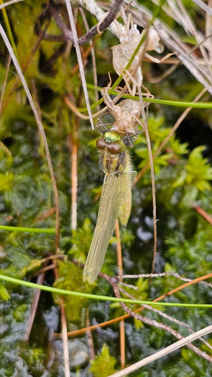 Beth Thomas tweet media