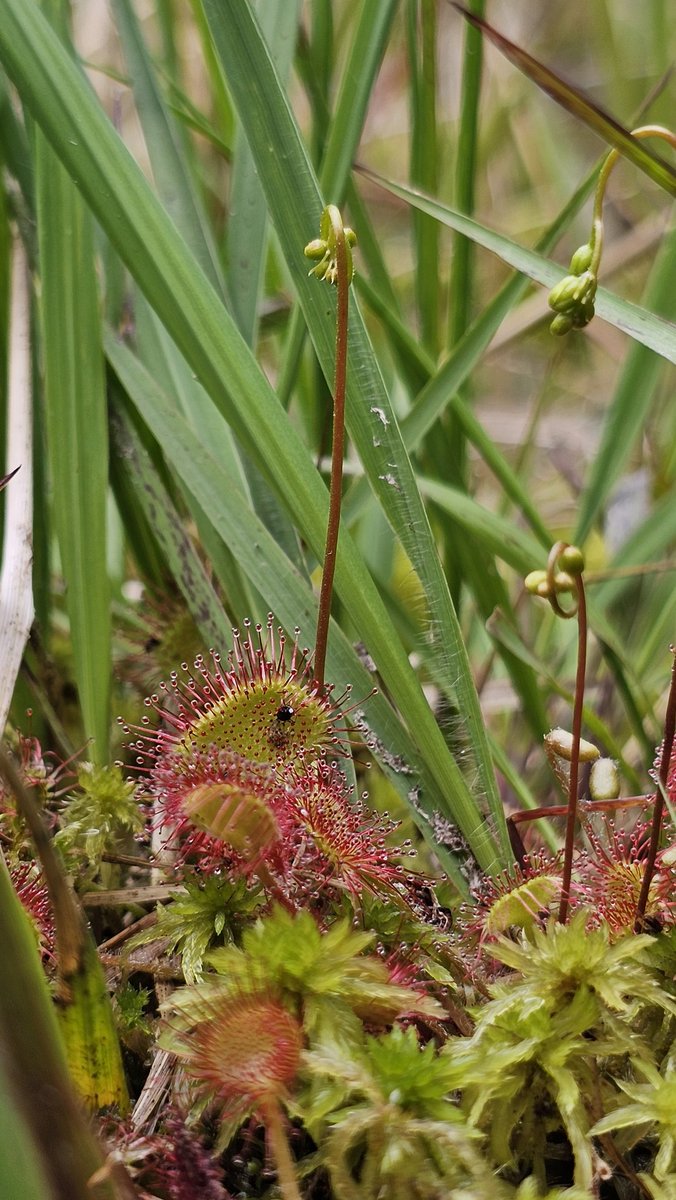 Beth Thomas tweet media