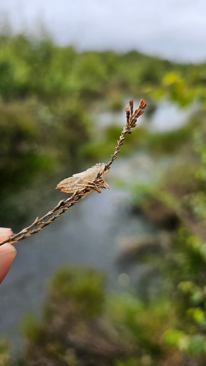 Beth Thomas tweet media