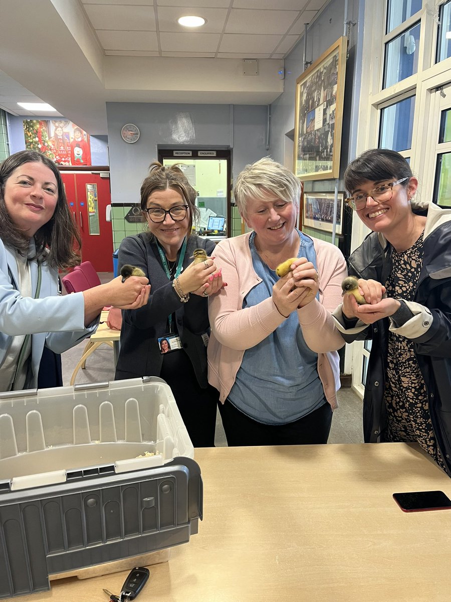 Mrs Dickson tweet media