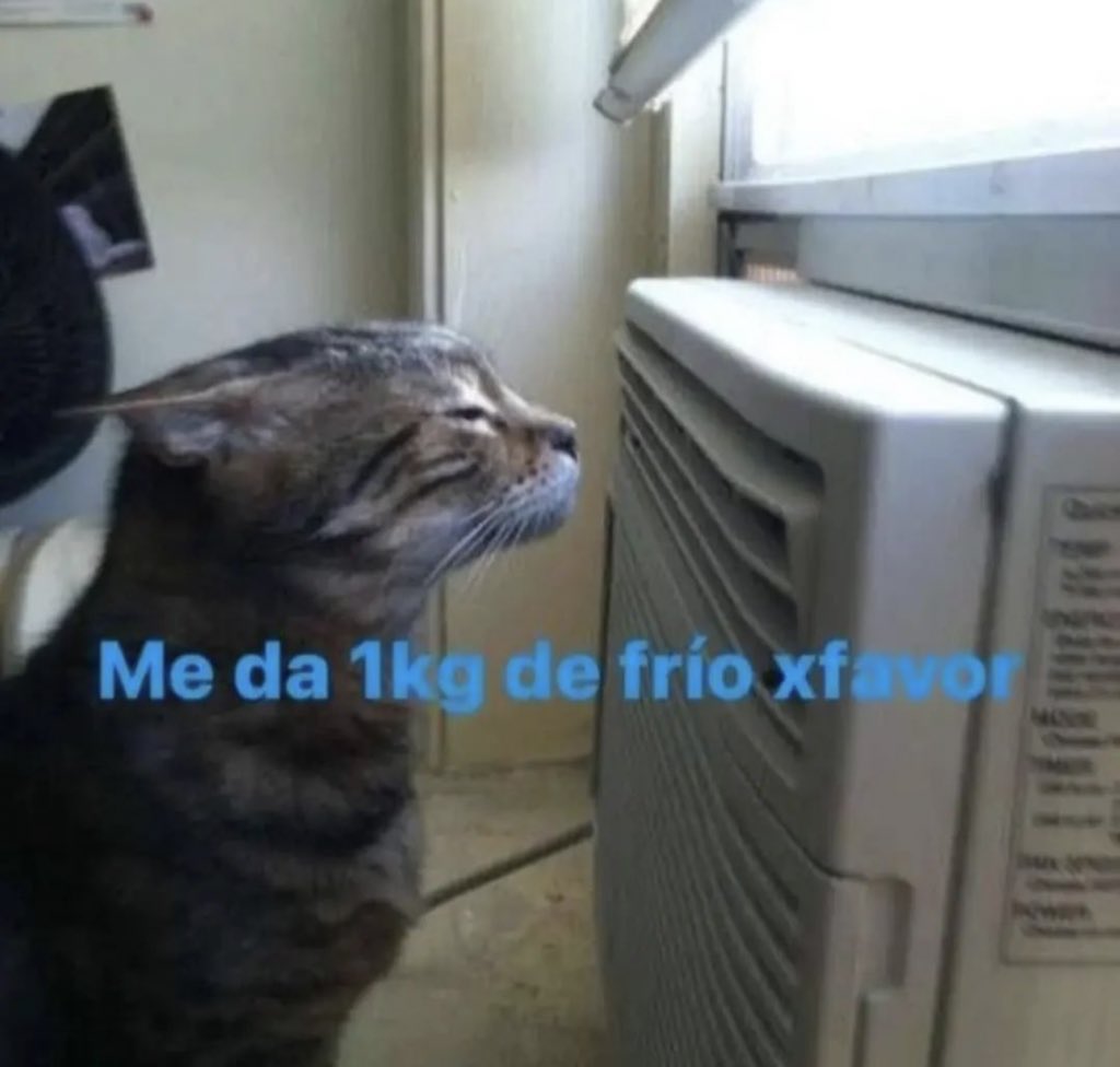 skereunpesado's tweet photo. https://t.co/hHG2agRGPc