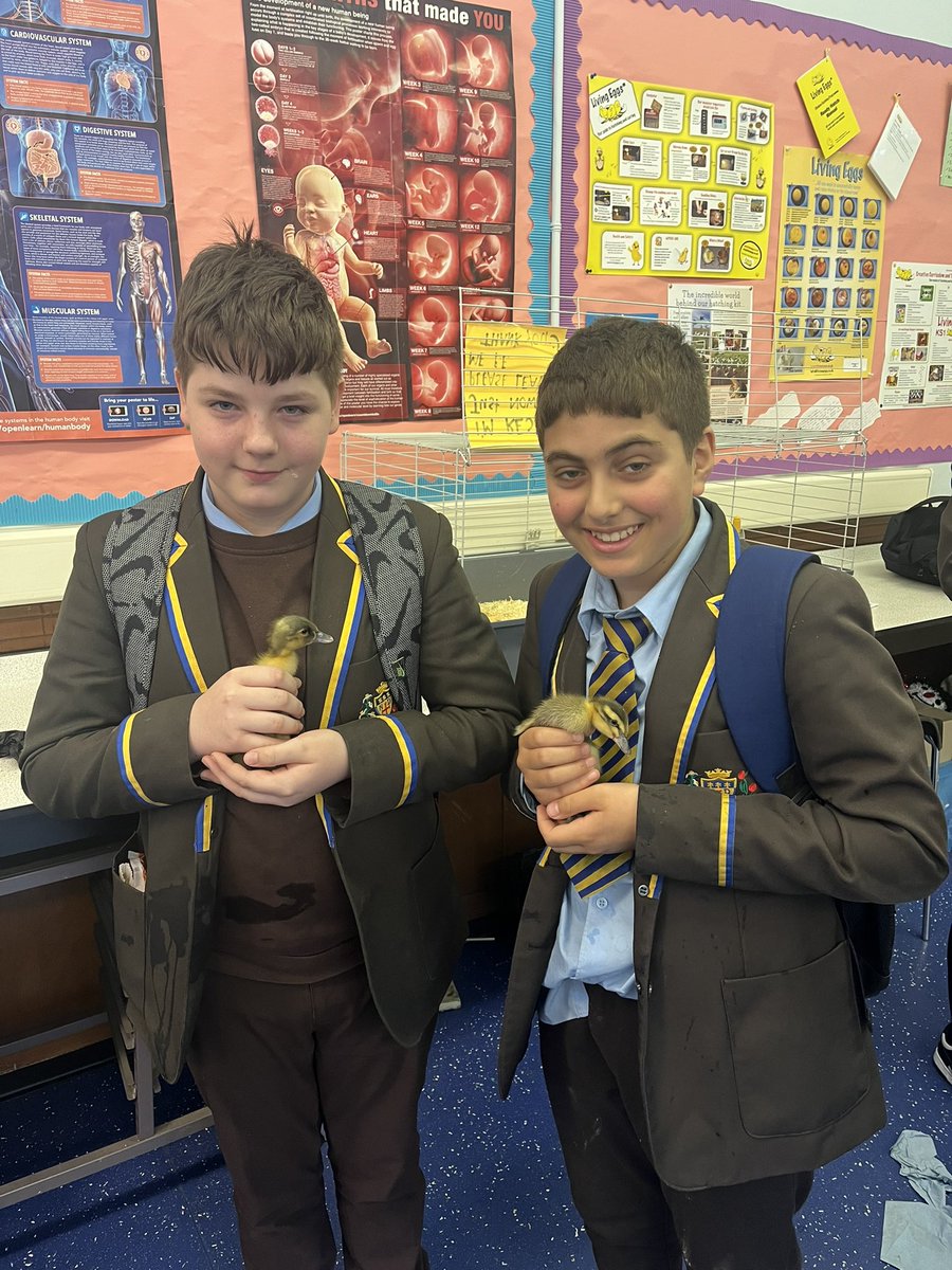 Mrs Dickson tweet media