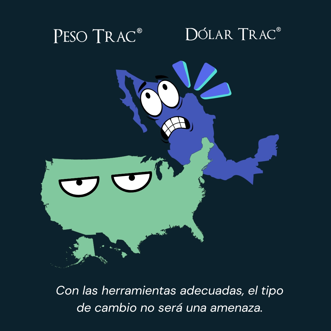 quantashares's tweet photo. Con Dólar Trac y Peso Trac, obtén la cobertura cambiaria que necesitas. Prepárate para cualquier movimiento en el tipo de cambio y protege tus inversiones. #Dolar #Peso #trendings https://t.co/WZn0HKnS6Q