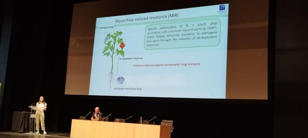 Plant Immunity and Biochemistry (@pibgroupir) on Twitter photo Dr. <a href="/maria_manresa/">María Manresa Grao</a> presents her talk "Multi-omic approach to mycorrhizal tomato plant responses against Botrytis cinerea"🦠🍅💻 at <a href="/IobcIr/">IOBC BioProTech Conference</a>
#IOBCBioProtechCS
#innovation #bioproducts #agriculture #agricultureandfarming #bioeconomy #sustainability #plantbioprotech Dr. <a href="/maria_manresa/">María Manresa Grao</a> presents her talk "Multi-omic approach to mycorrhizal tomato plant responses against Botrytis cinerea"🦠🍅💻 at <a href="/IobcIr/">IOBC BioProTech Conference</a>
#IOBCBioProtechCS
#innovation #bioproducts #agriculture #agricultureandfarming #bioeconomy #sustainability #plantbioprotech