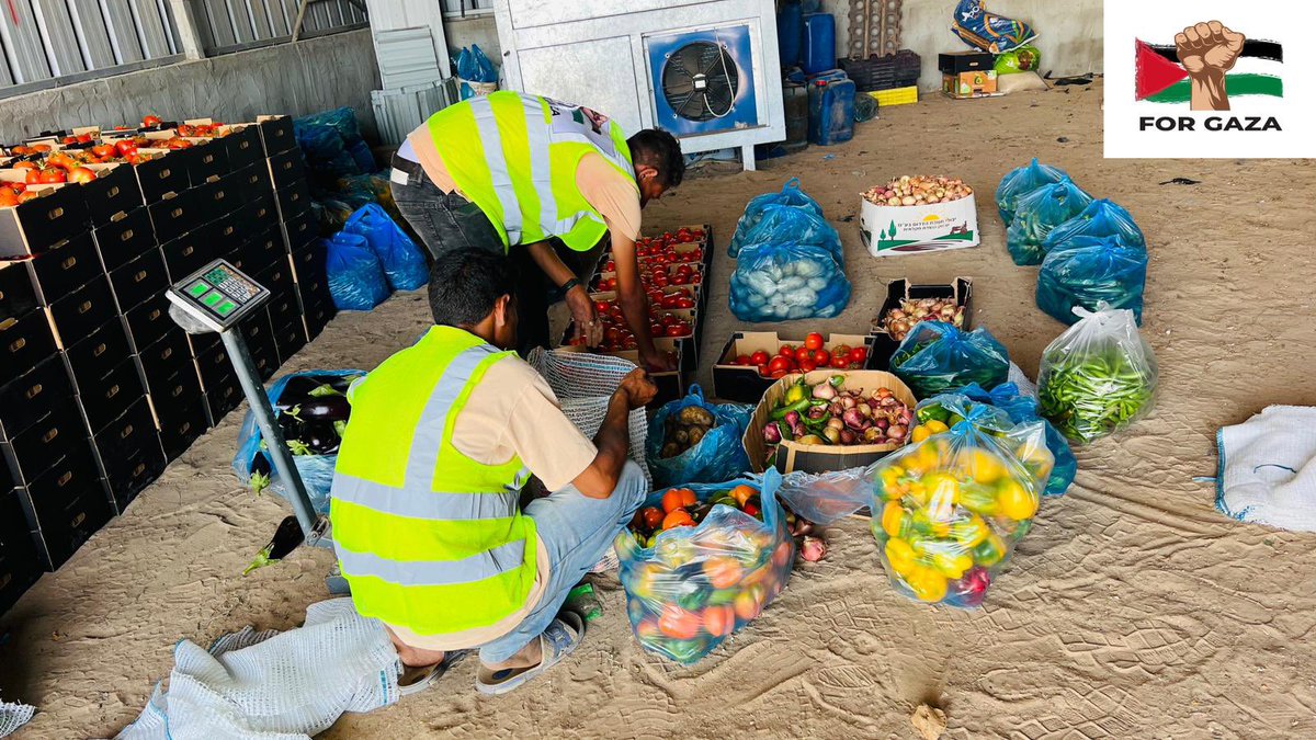GazaDirectAid's tweet photo. Our team is now providing services in Khuza’a, Ashan, and Bani Suhaila, east of the city of Khan Yunis, the places from which the army withdrew @rida_ehab https://t.co/LMyqvYVABV