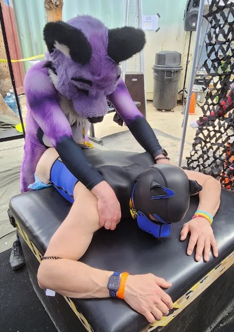 FucKitFox's tweet photo. Bend over, puppy. https://t.co/puFVCJLzNX