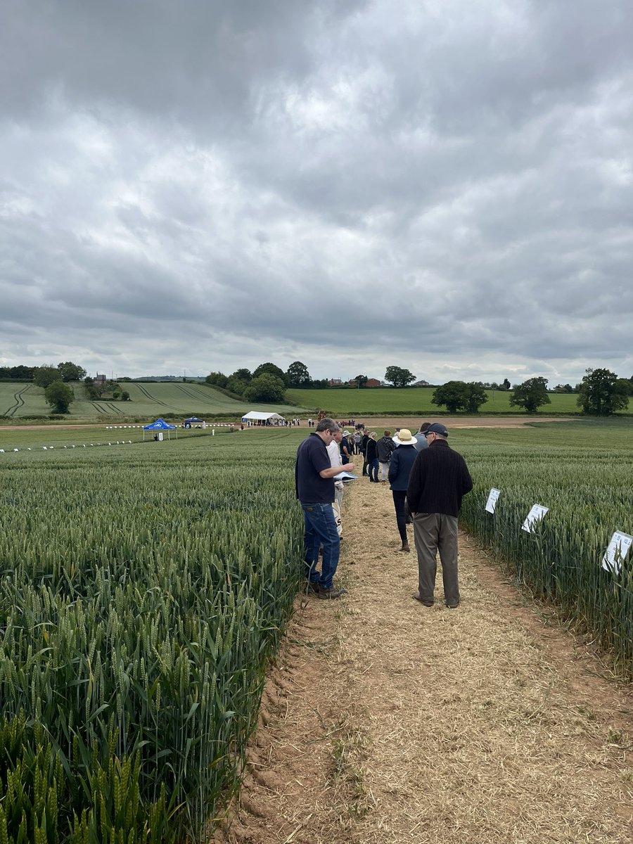 ChloeMo95's tweet image. Brilliant day covering disease control at our @ADASGroup @AHDB_Cereals open day. Great to see so many people, lots of interesting discussion.
Thanks to our @ADASRosemaund field team, all our presenters and everyone who attended!