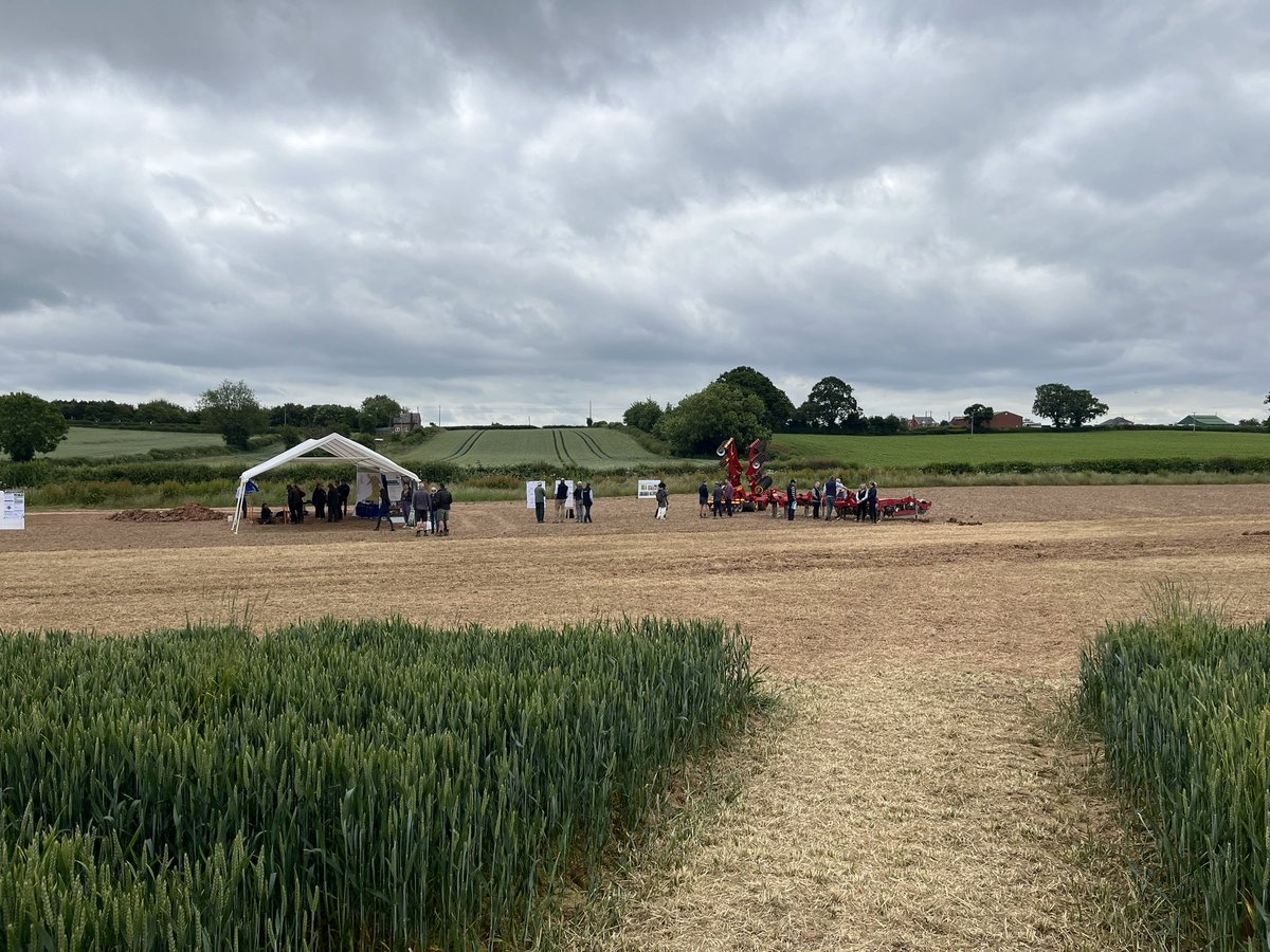 ChloeMo95's tweet image. Brilliant day covering disease control at our @ADASGroup @AHDB_Cereals open day. Great to see so many people, lots of interesting discussion.
Thanks to our @ADASRosemaund field team, all our presenters and everyone who attended!