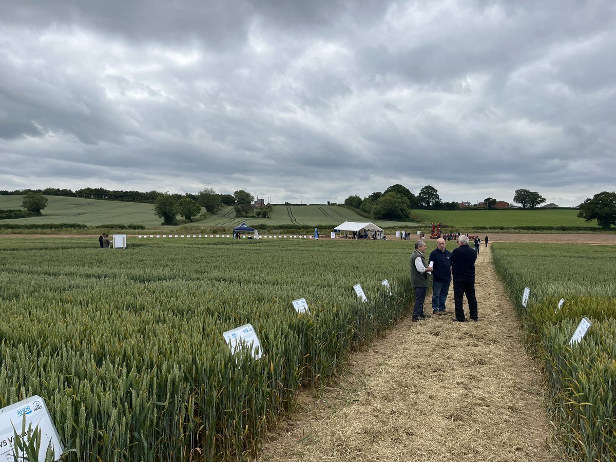 ChloeMo95's tweet image. Brilliant day covering disease control at our @ADASGroup @AHDB_Cereals open day. Great to see so many people, lots of interesting discussion.
Thanks to our @ADASRosemaund field team, all our presenters and everyone who attended!