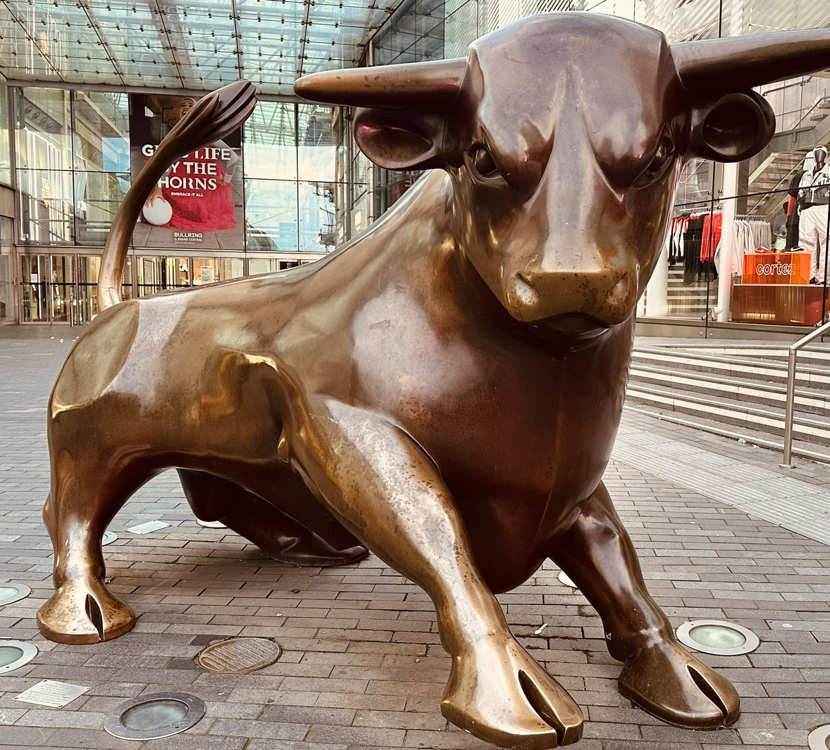 Bulls! 
#Bitcoin #Bullmarket #Cryptolife #Patience