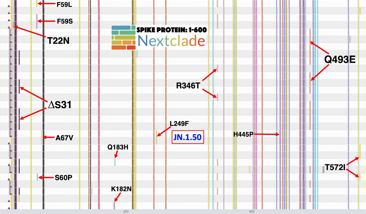 As visuals can often be helpful in interpreting what remain, to the vast majority of people, incomprehensible letter-numbers-letter combinations, I've annotated the Nextclade spike visualization for some sequences (all uploaded today), to provide some context. 4/