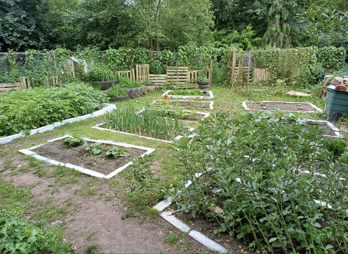 🪴👩‍🌾 Allotment 👨‍🌾🍃

A fantastic first day in the glorious sunshine for our students on “Be At One With Nature”

Spending valuable time in our school allotment with Mr Crane and Mr Salgado!

Great work team!!